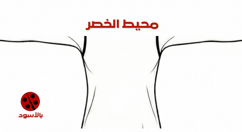 طريقة قياس الخصر